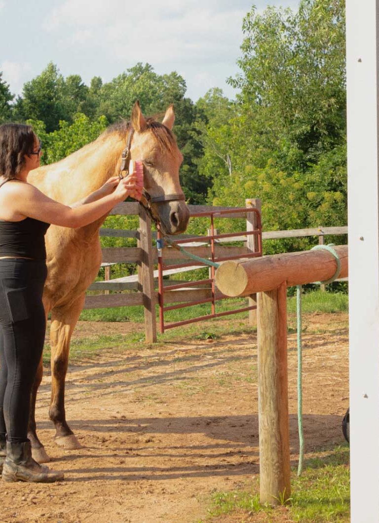 A high school girl—Meghan—brushes her horse outside of a barn.