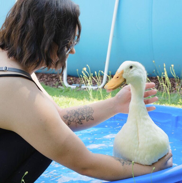 White woman with tattoo on forearm playing with a white duck in a blue kiddie pool