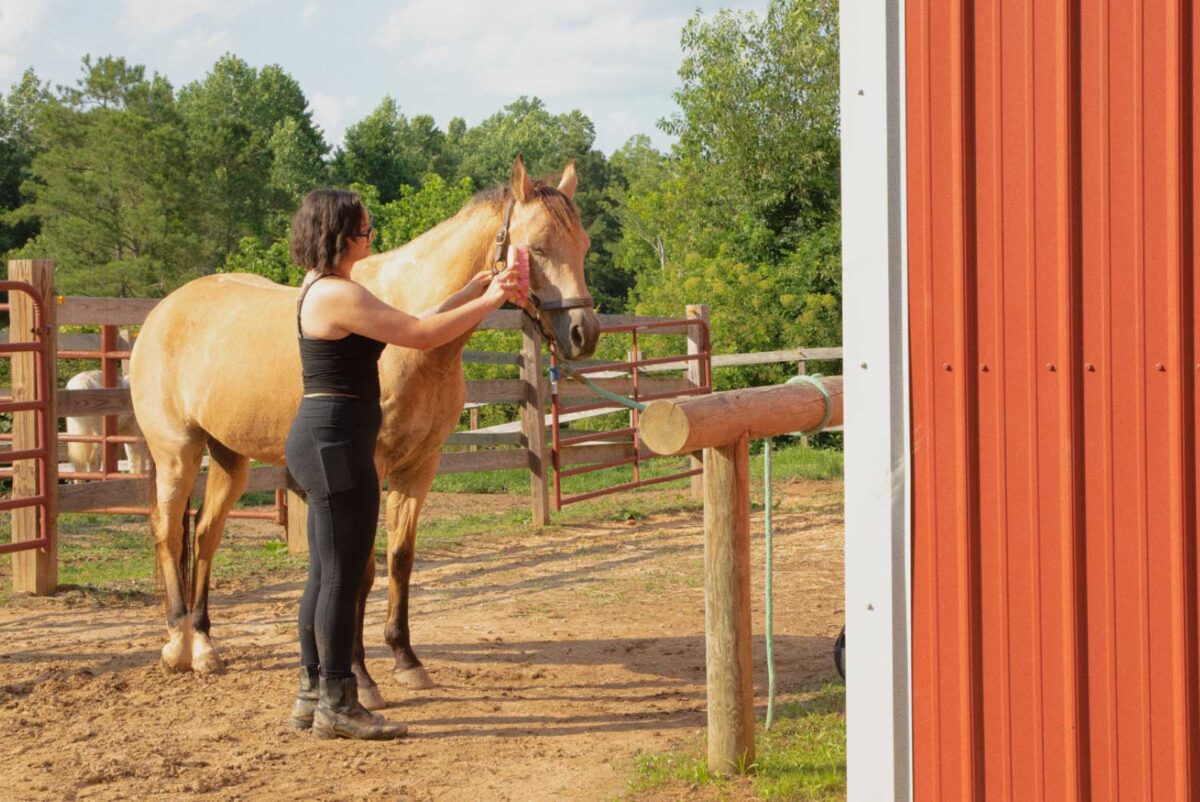 Meghan tending to her horse.