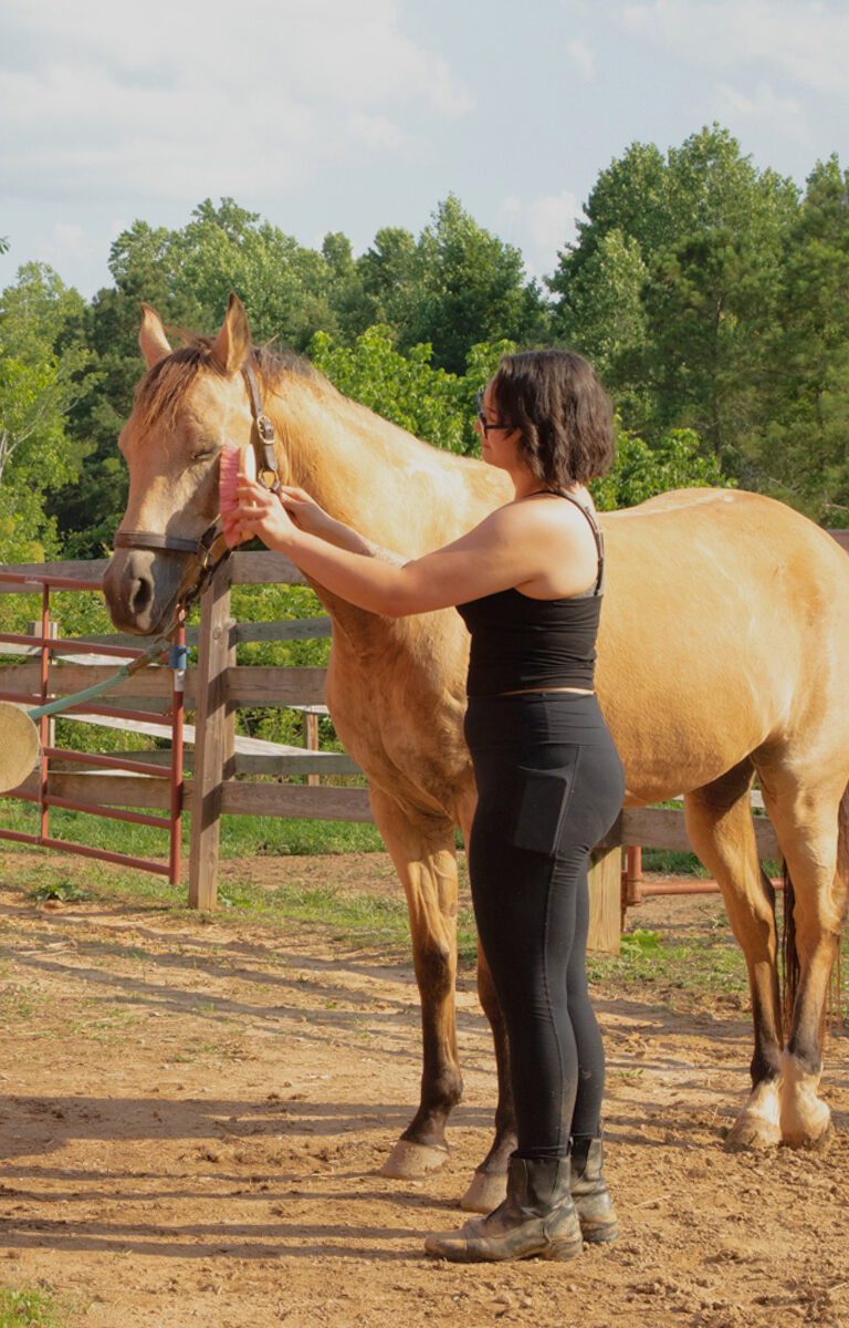 Meghan tending to her horse